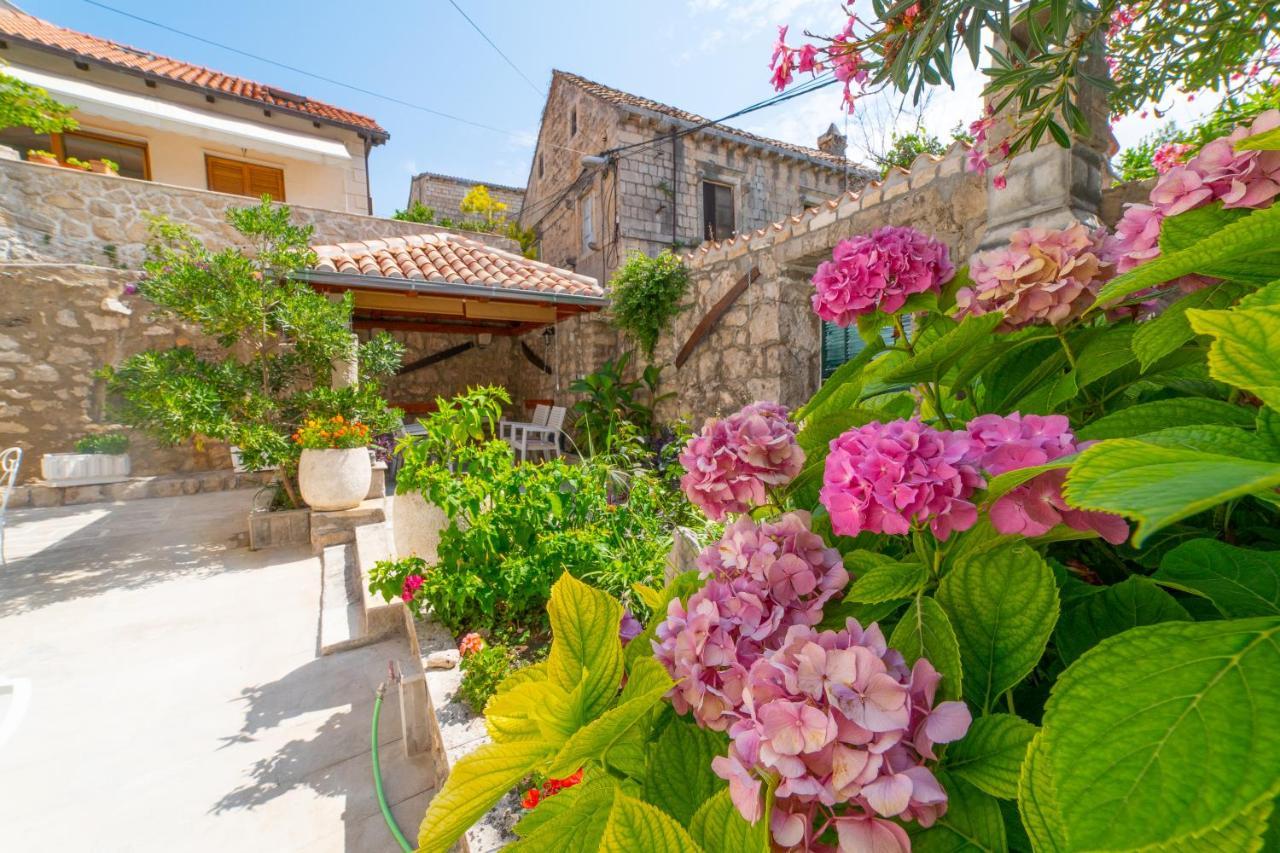 Apartman Andelina Old Town Cavtat Exterior photo